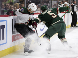 Coyotes Wild Hockey