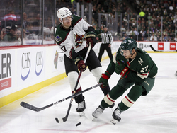Coyotes Wild Hockey