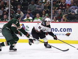 Coyotes Wild Hockey