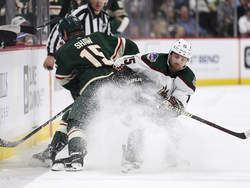 Coyotes Wild Hockey