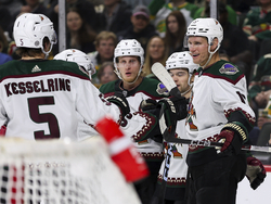 Coyotes Wild Hockey