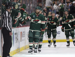 Coyotes Wild Hockey