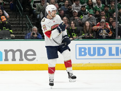 Panthers Stars Hockey