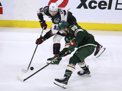Coyotes Wild Hockey