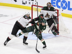 Coyotes Wild Hockey