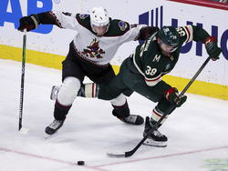 Coyotes Wild Hockey
