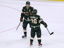 Coyotes Wild Hockey