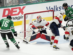 Panthers Stars Hockey