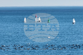 Варна - ветроходни клубове - тренировки