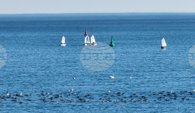 Варна - ветроходни клубове - тренировки