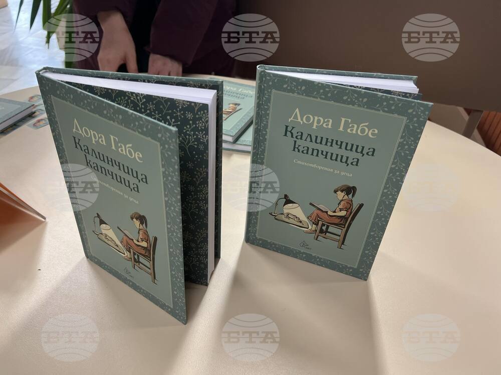 Добрич - книга - представяне