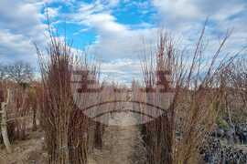 Сливен - дарителска акция