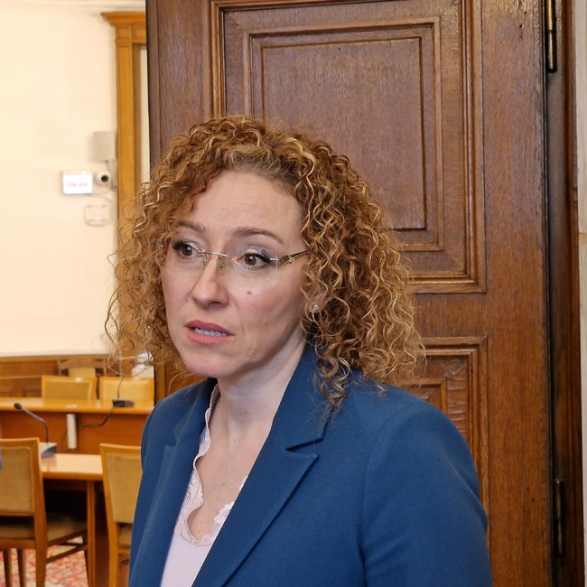 Надявам се, че в социалното министерство ще продължи деинституционализацията на домовете за възрастни хора, каза Иванка Шалапатова