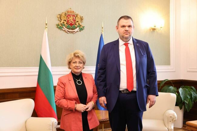 Делян Пеевски, председател на ДПС се срещна с Н. Пр. Бръндуша Предеску, посланик на Румъния