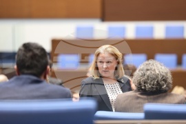 Народно събрание - заседание