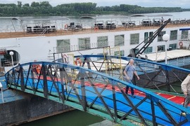 Видин - туристически кораби - ниво на река Дунав