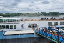 Видин - туристически кораби - ниво на река Дунав