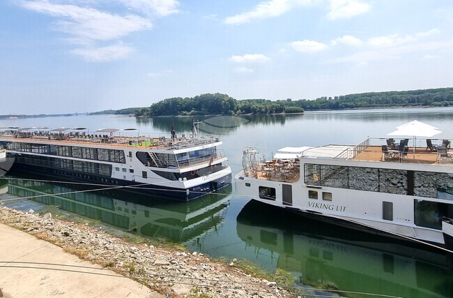 Видин - туристически кораби - ниво на река Дунав