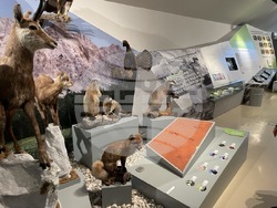 Снимка: Община Банско