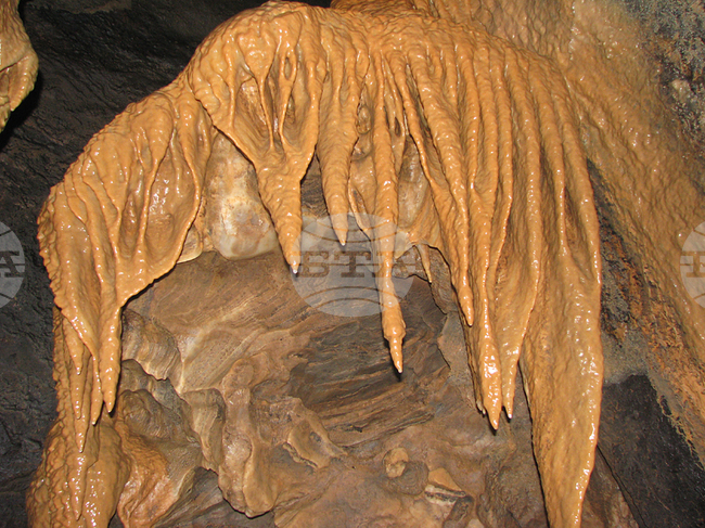 Видин - "Башовишки печ"