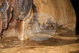 Видин - "Башовишки печ"