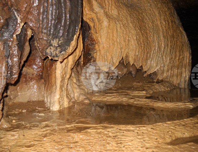 Видин - "Башовишки печ"