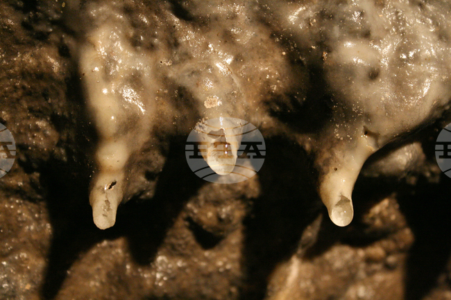 Видин - "Башовишки печ"