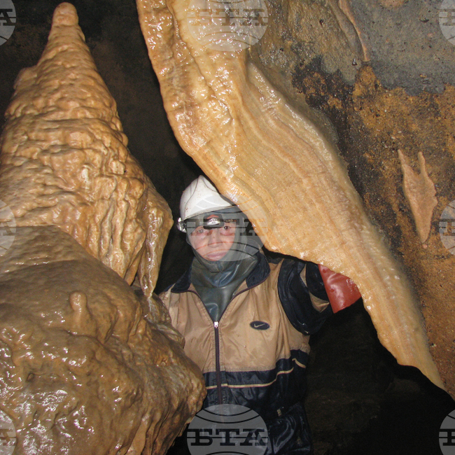 Видин - "Башовишки печ"