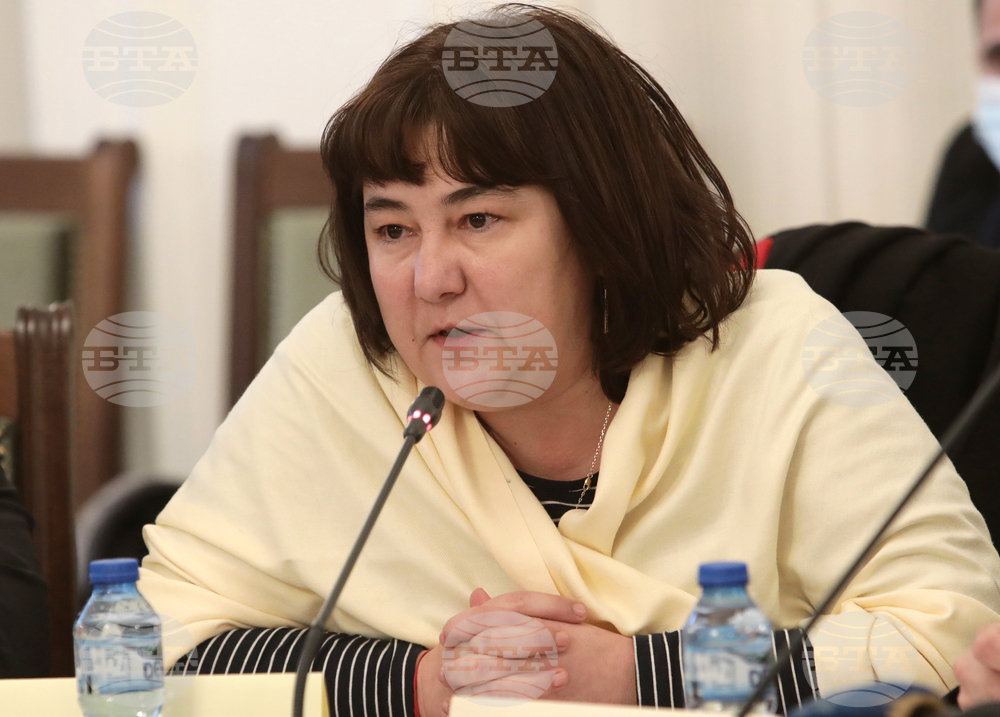 Rositza Velkova-Zheleva Remains Minister of Finance