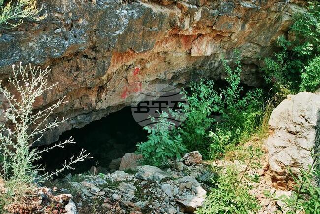 Видин - "Башовишки печ"