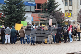 Добрич - Професионална гимназия по ветеринарна медицина - протест