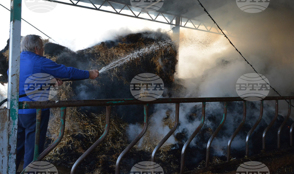 Село Конуш – пожар - кравеферма