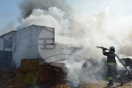 Село Конуш – пожар - кравеферма