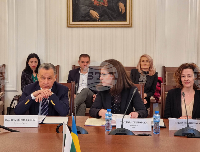 Комисия по външна политика