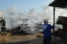 Село Конуш – пожар - кравеферма