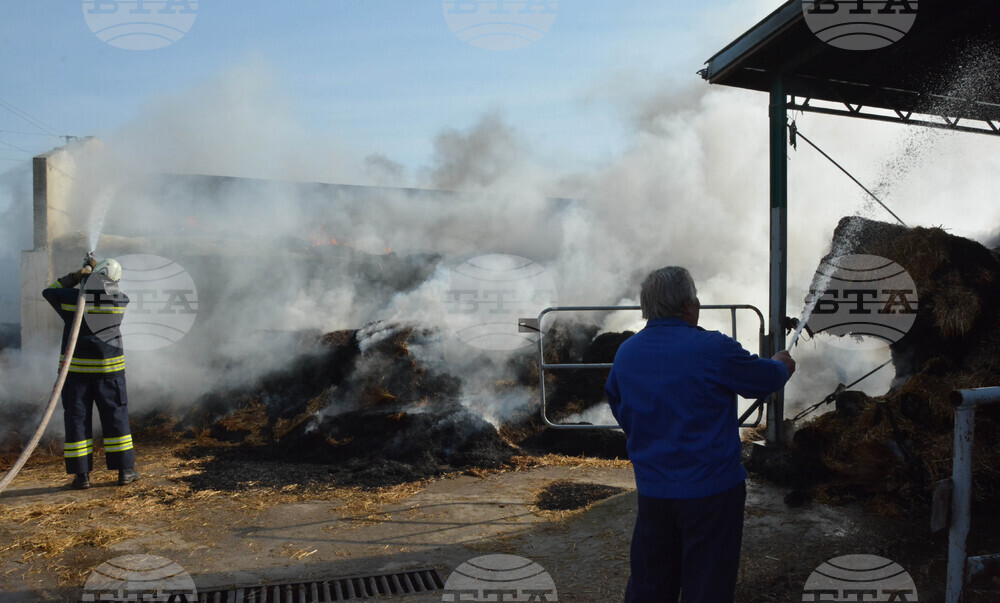 Село Конуш – пожар - кравеферма