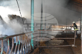 Село Конуш – пожар - кравеферма