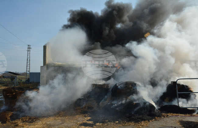 Село Конуш – пожар - кравеферма