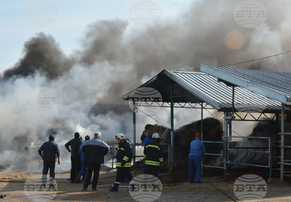 Село Конуш – пожар - кравеферма