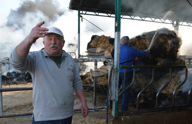 Село Конуш – пожар - кравеферма