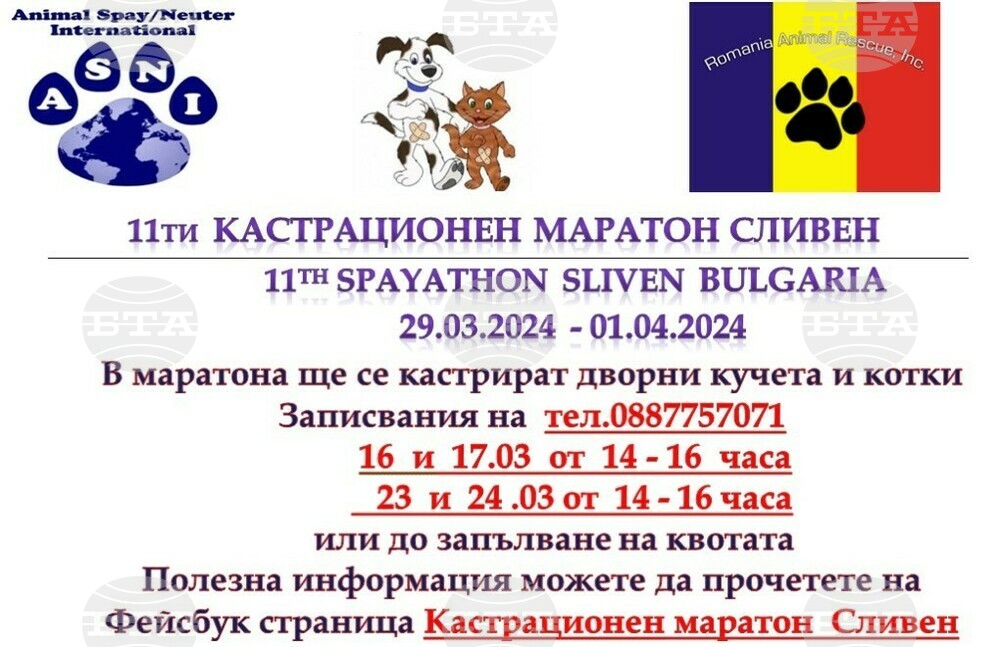 Община Сливен: Започва поредна кампания за безплатна кастрация на домашни дворни животни