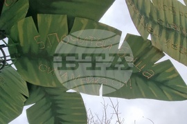 Сливен - храм "Света Троица" - иконостас