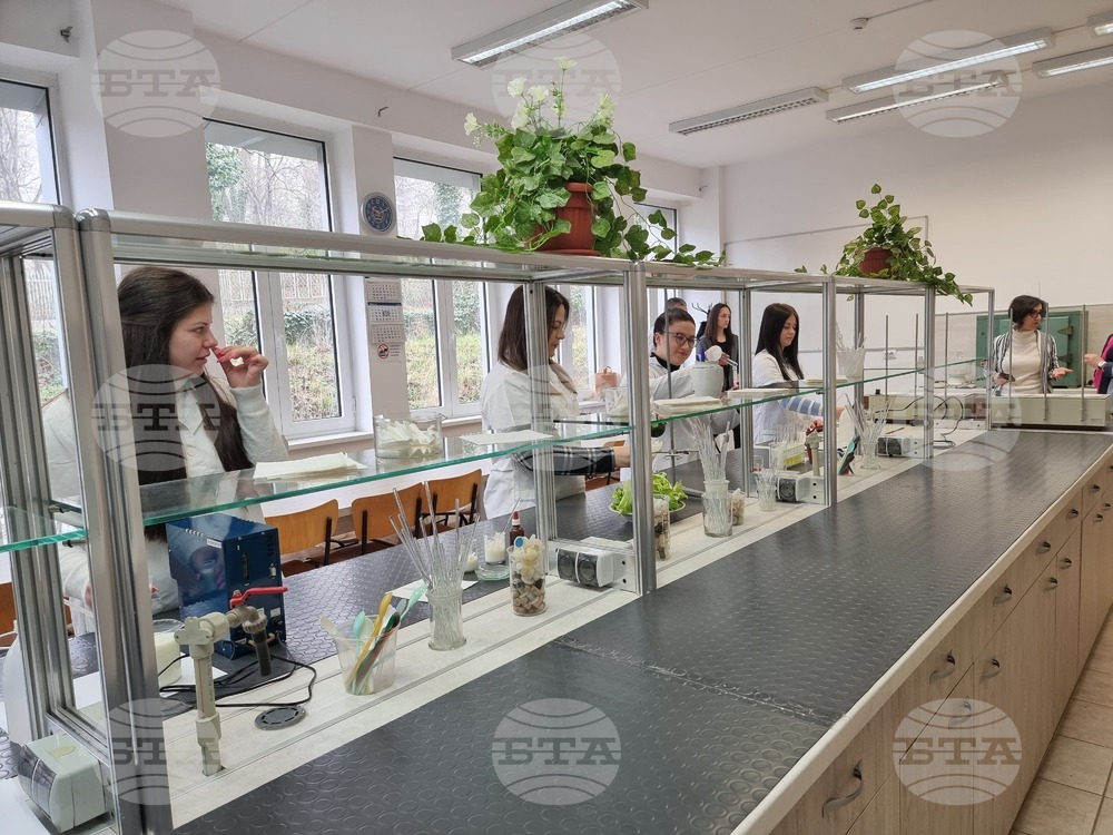 BGN 49 Mln Provided for Increase of Salaries at Bulgarian Academy of Sciences, State Universities
