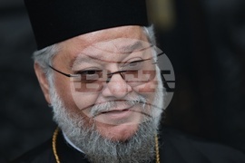 Митрополит Киприан - брифинг