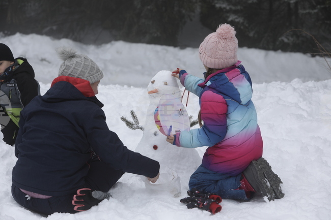 Витоша - Зимен семеен празник