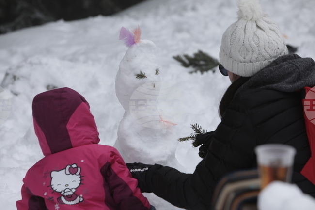 Витоша - Зимен семеен празник