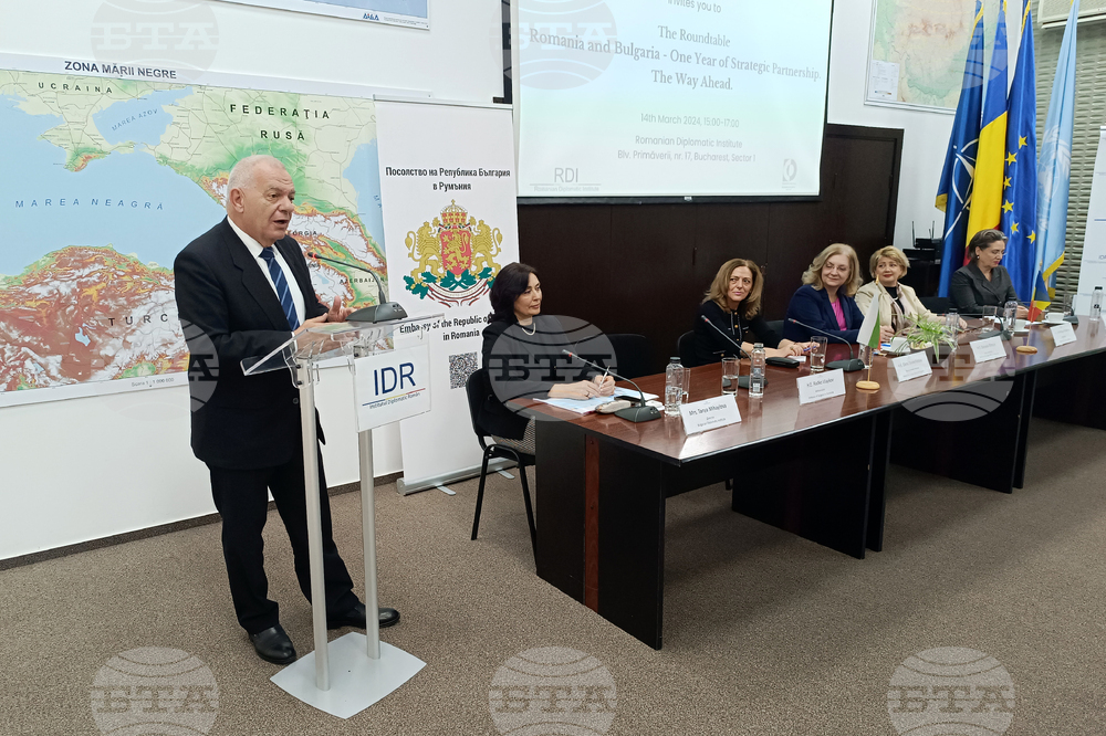 Румъния - кръгла маса - Румъния и България - една година стратегическо партньорство
