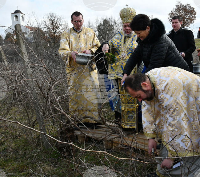 Харманли - Свети Трифон