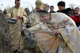 Харманли - Свети Трифон