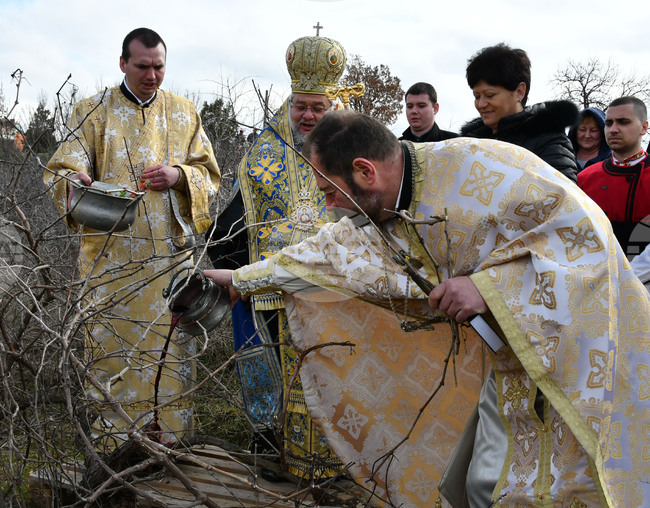 Харманли - Свети Трифон